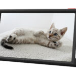 Elektroninis vaizdo didintuvas LUNA6